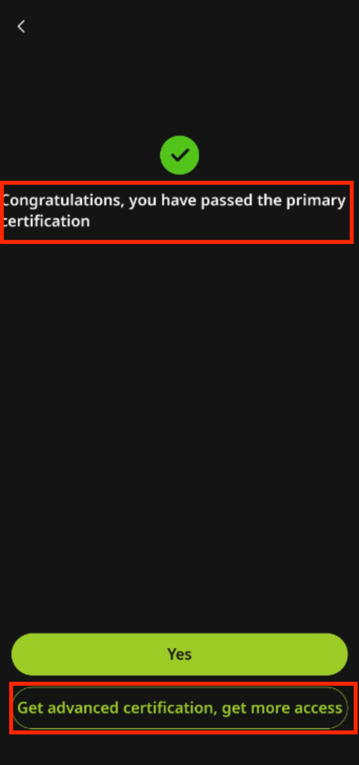 5.jpeg